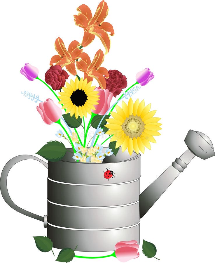 Watering Can Flower Pot stock vector. Illustration of ...
