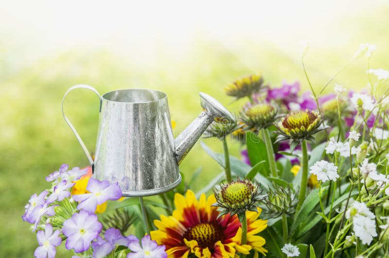 Watering can in flowerbed