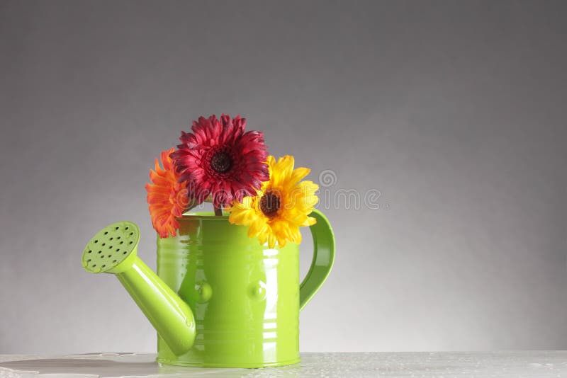 Watering can and flowers stock image. Image of wooden 40004999