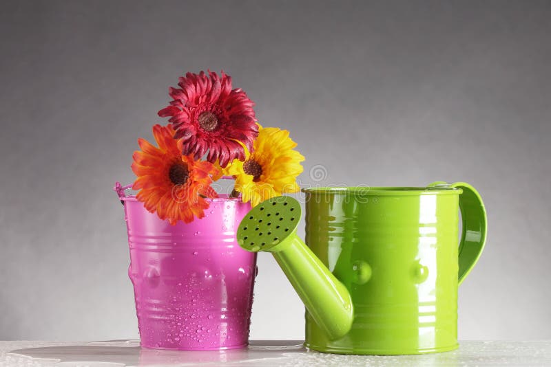 Watering can and flowers stock photo. Image of blossom 40005032