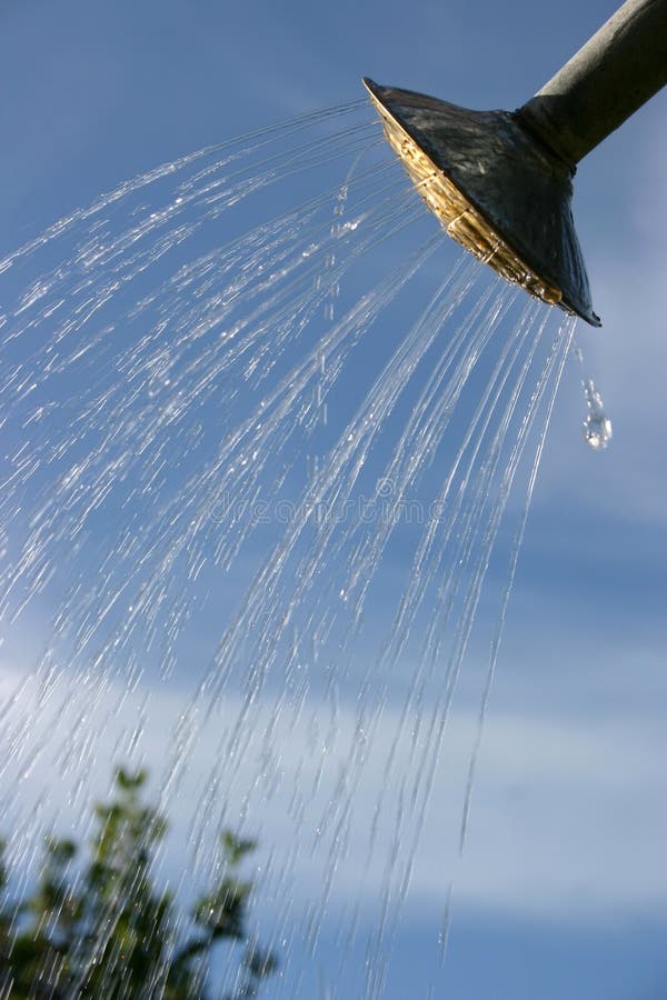 Watering can head stock photo. Image of summer, water, irrigate 134660