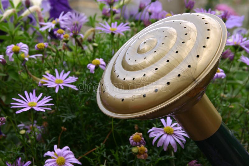 Watering can head stock photo. Image of summer, water, irrigate 134660