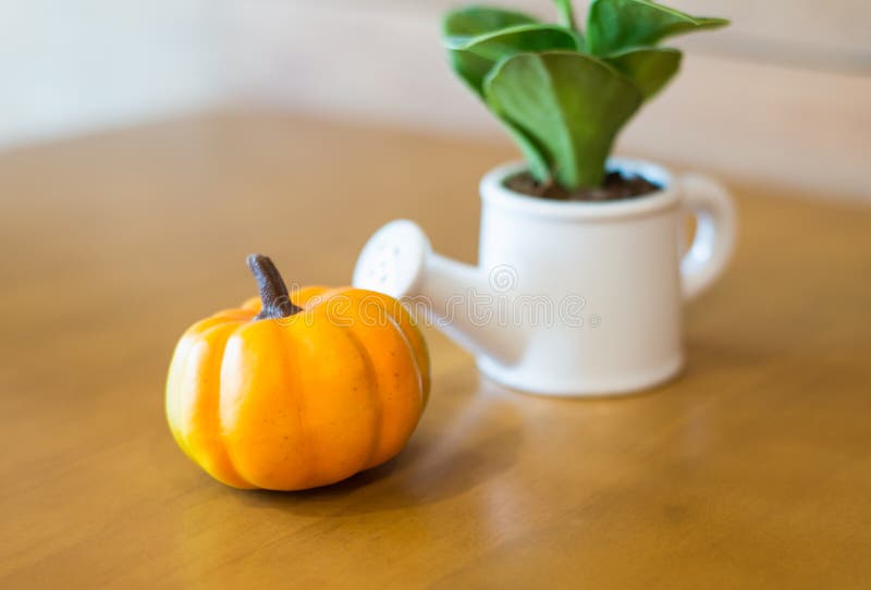 Watering Can and Plant with Plumkin Stock Image Image of color