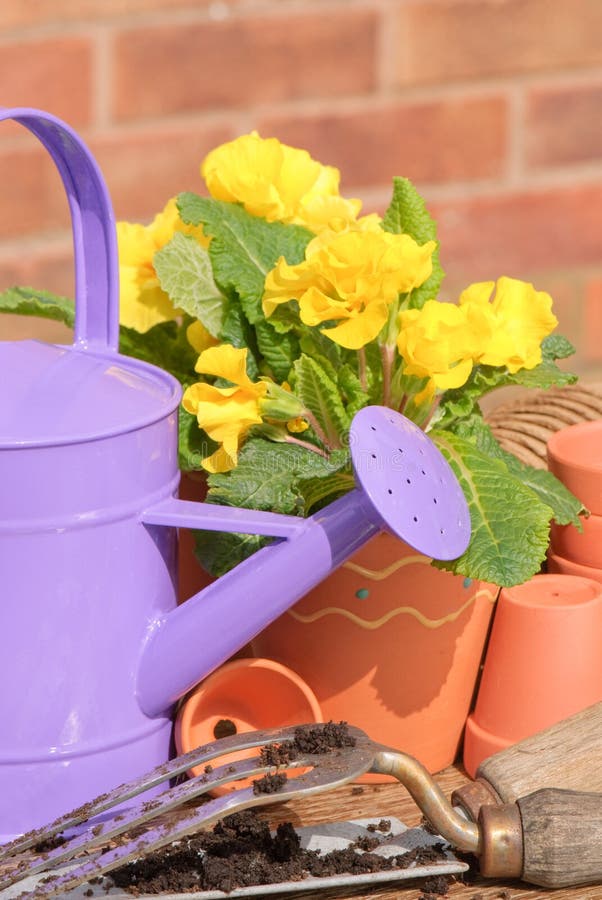 Watering Can & Plant Pots Stock Image Image of botany, outdoors 8835917