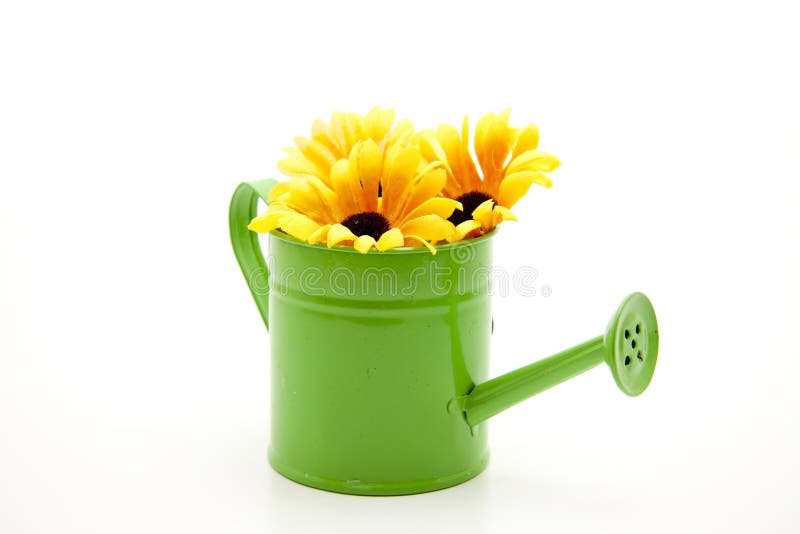 Watering can with sunflowers