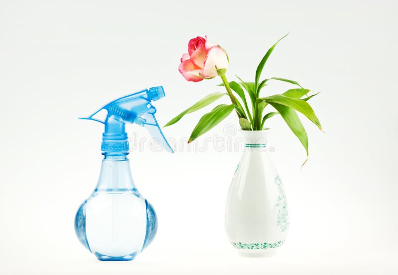 Wateringcan And Vase Picture. Image 7965642