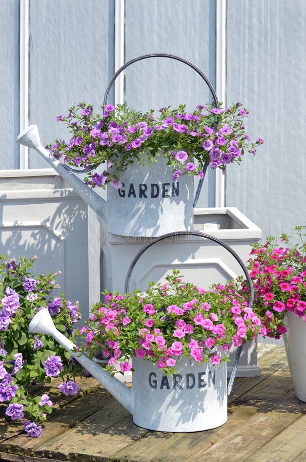 Watering cans with flowers stock image. Image of flowers 25400583