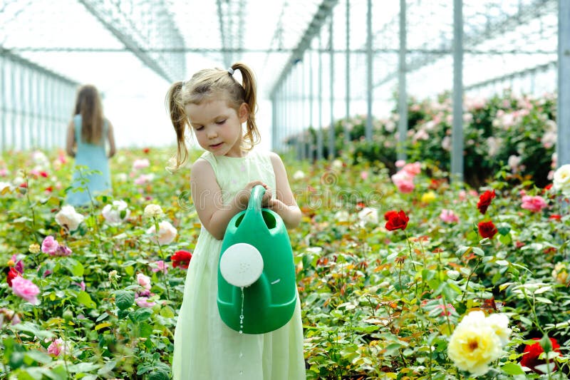 Watering flowers