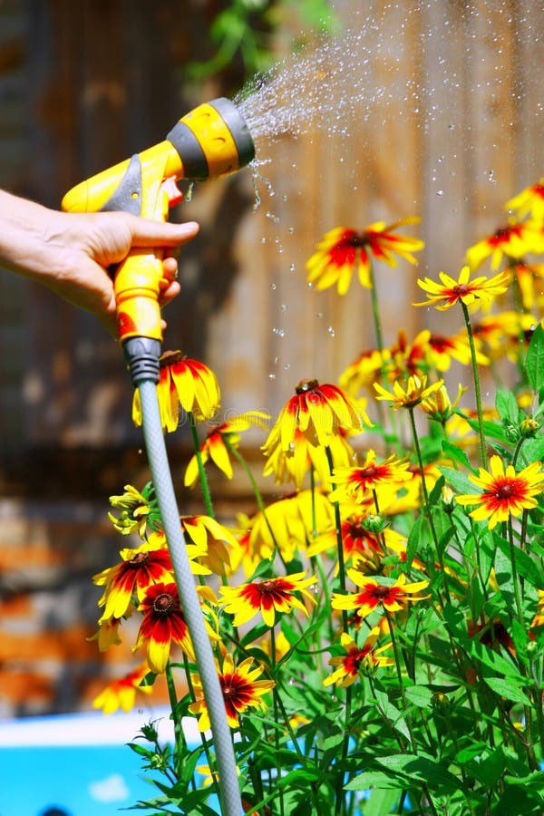 Watering Flowers