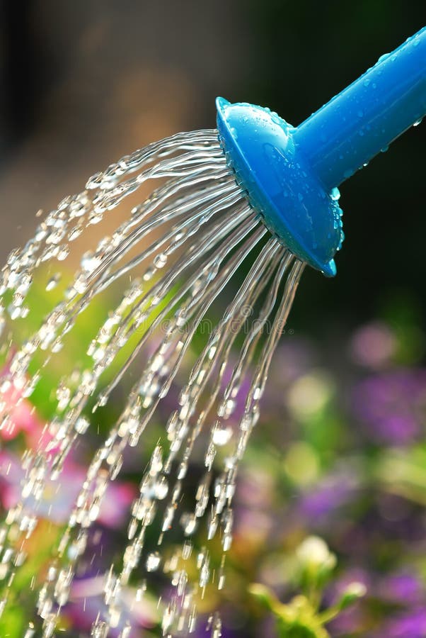 Watering flowers stock photo. Image of metal, freshness 2963904