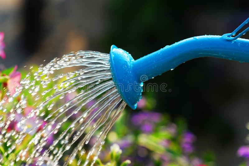 Watering flowers stock photo. Image of metal, freshness 2963904