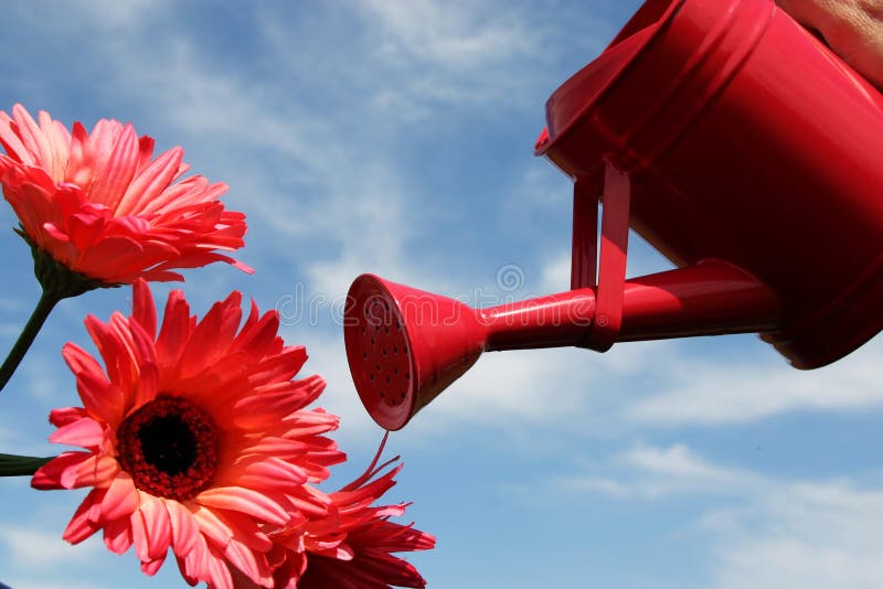 Watering flowers stock photo. Image of metal, freshness 2963904