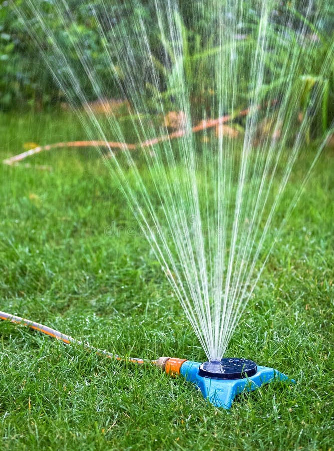 Watering garden stock photo. Image of environment, lawn 22798778