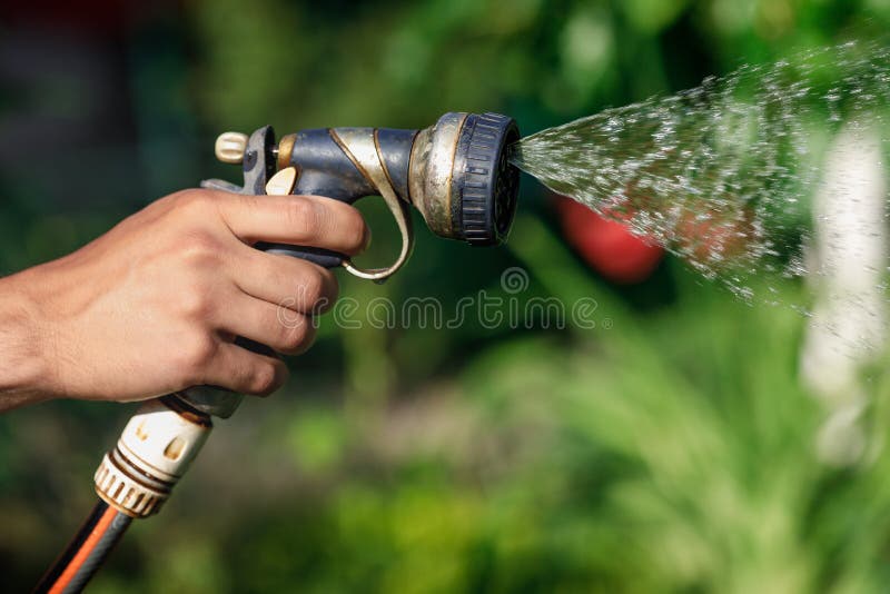 Watering Garden Flowers with Hose Stock Photo Image of holding, fresh
