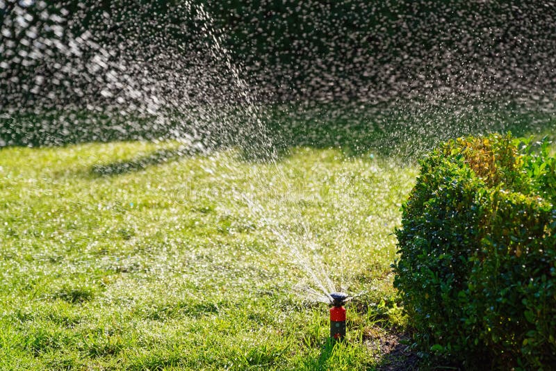 Watering the Green Lawn in a Garden on Sunny Day Stock Photo - Image of ...