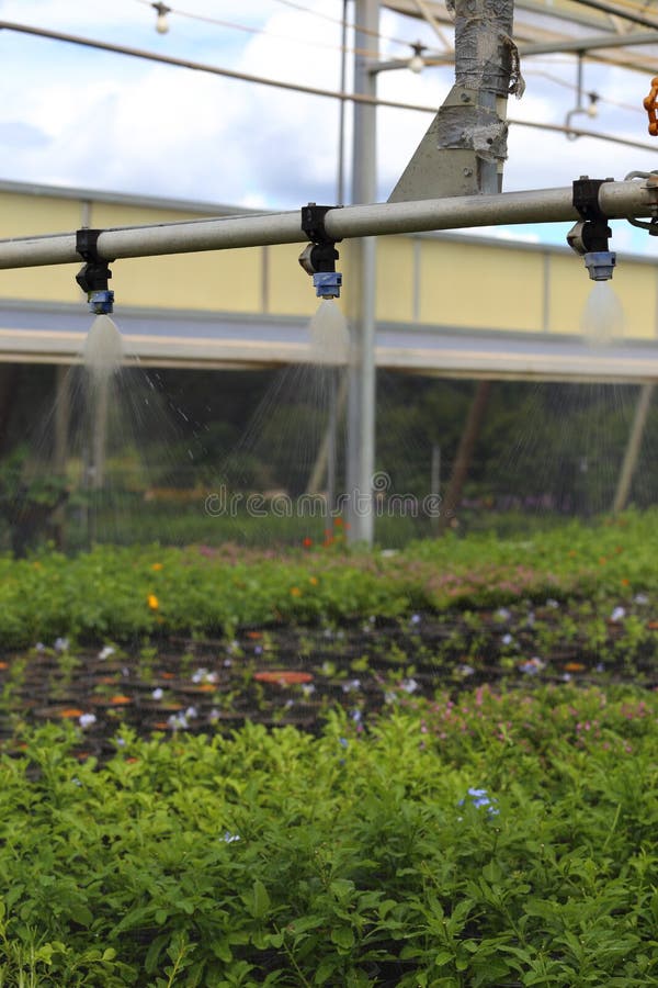 Watering Greenhouse stock image. Image of industrial 55535623