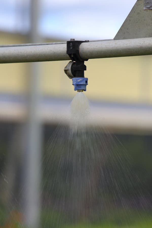 Watering Greenhouse stock image. Image of effect, closeup 55535631