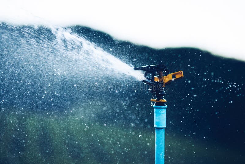 Sprinklers Watering Vineyard At Sunrise Morning. Irrigation System. A