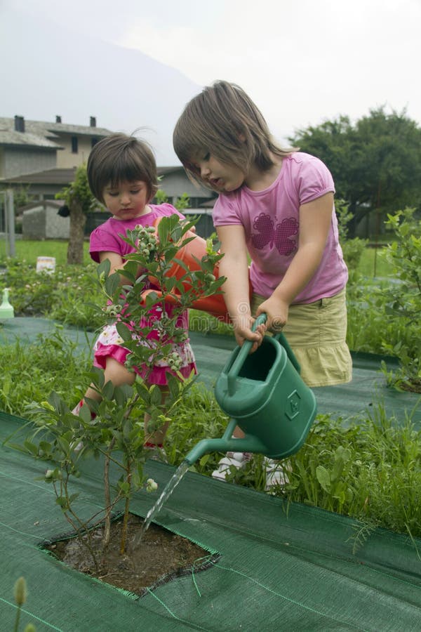 Watering the plants stock photo. Image of warm, spring 14689084