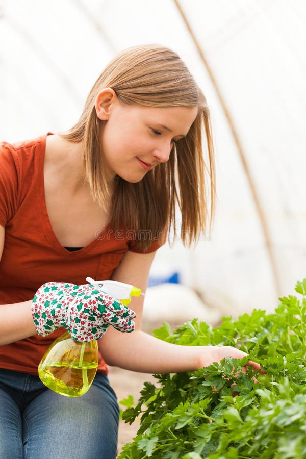 Watering The Plants royalty free stock images Watering The Plants royalty free stock images