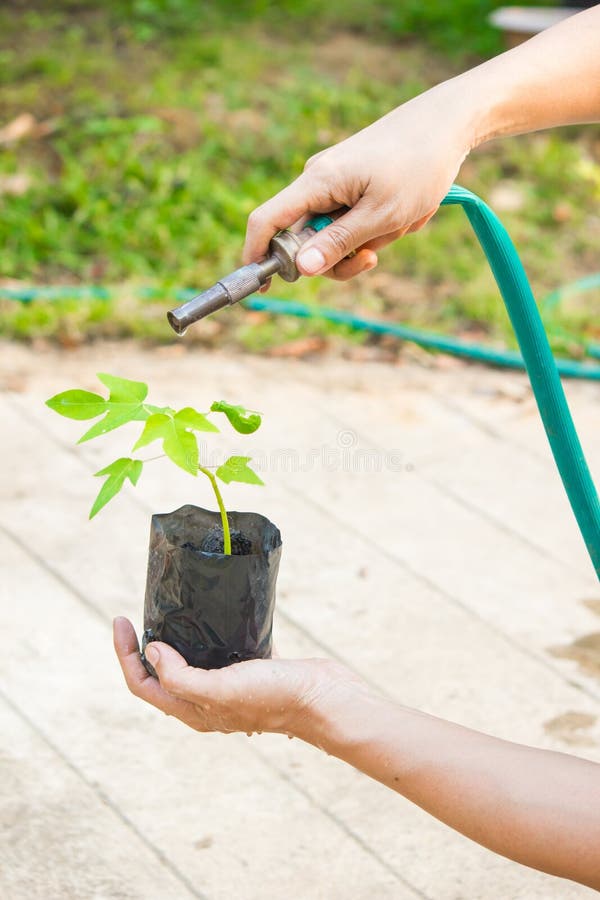 Trees and pumping stock image. Image of head, pumps, field 4655219