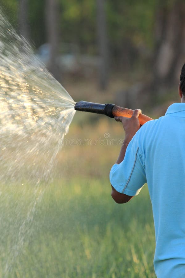 Watering The Vegetable Garden Stock Photo - Image of vegetable, growth