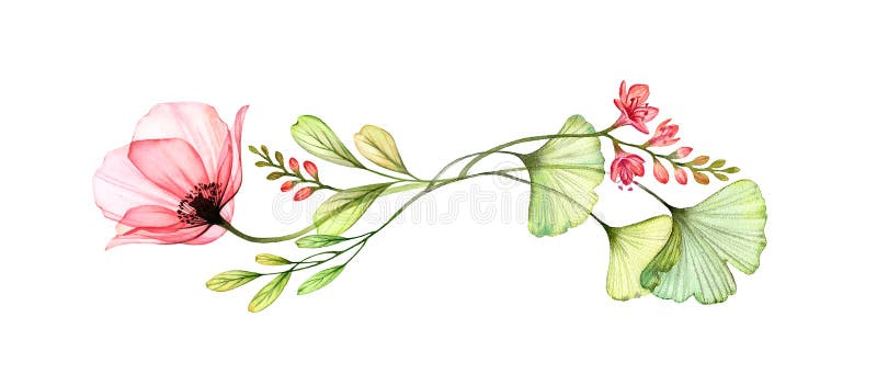 Waterkleurige floranje. horizontaal ontwerpelement. abstracte papaverbloem met exotische fresia geïsoleerd op wit