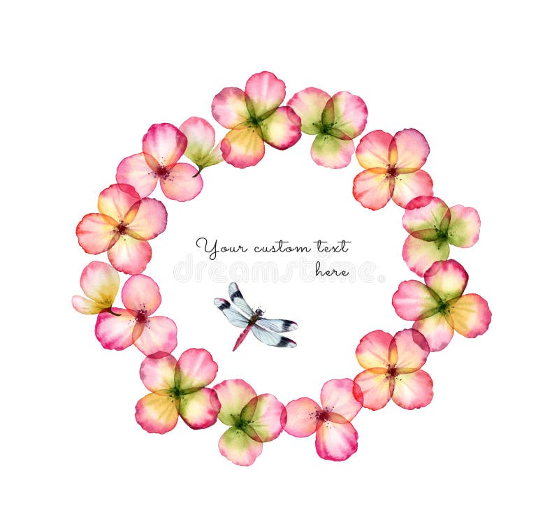 Watercolor floral wreath. Transparent overlapping flowers and dragonfly isolated on white. Botanical floral illustration for text, logo, wedding invitations, cards. Watercolor floral wreath. Transparent overlapping flowers and dragonfly isolated on white. Botanical floral illustration for text, logo, wedding invitations, cards.