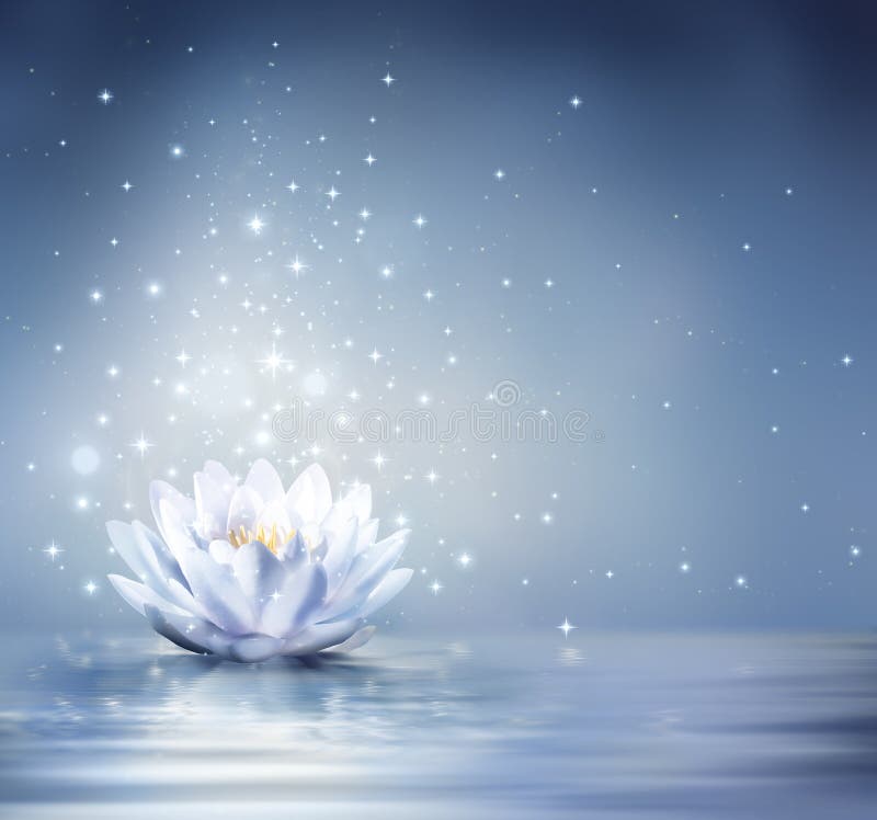 Nwaterlily light blue on water - fairytale background. Nwaterlily light blue on water - fairytale background
