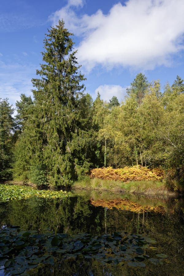 Waterloo Screens Lake stock image. Image of screens 272429847