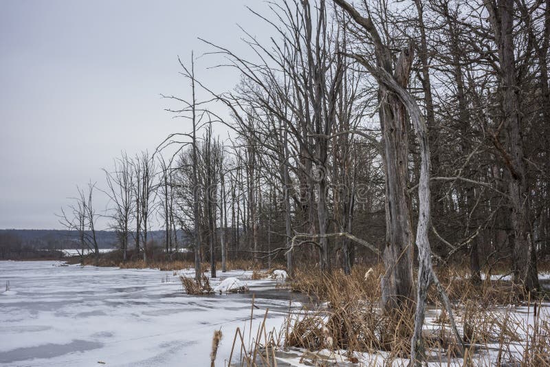 Waterman Conservation Education Center, Apalachin, New