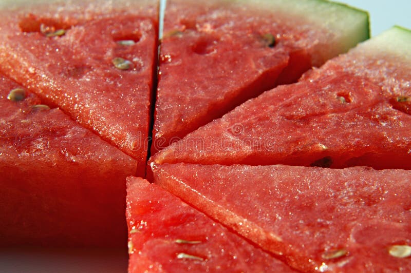 Watermelon stock image. Image of gentle, crunchy, plant - 4943319 Watermelon stock image. Image of gentle, crunchy, plant - 4943319