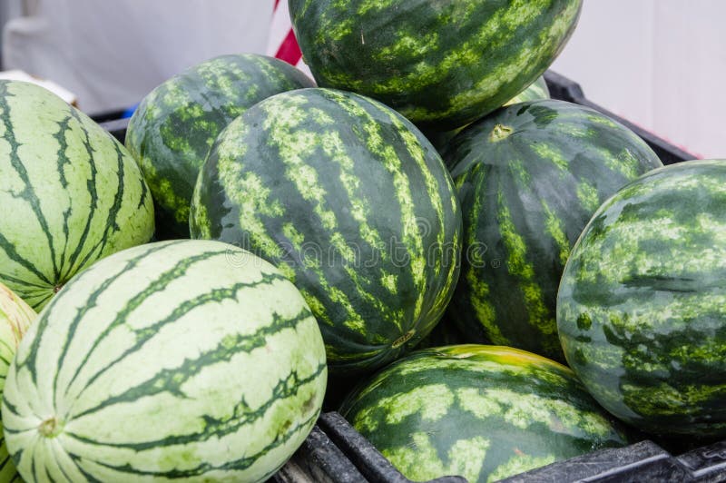 Watermelon on Display in Bulk at the Market Stock Photo Image of