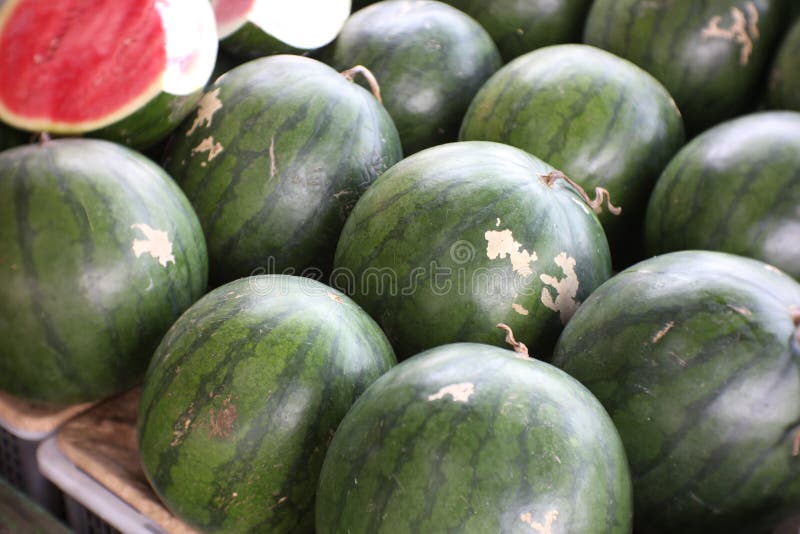 Watermelon fruit stock image. Image of business, food 259325205