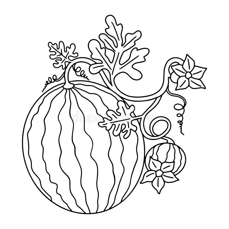 watermelon plant clipart black and white tree