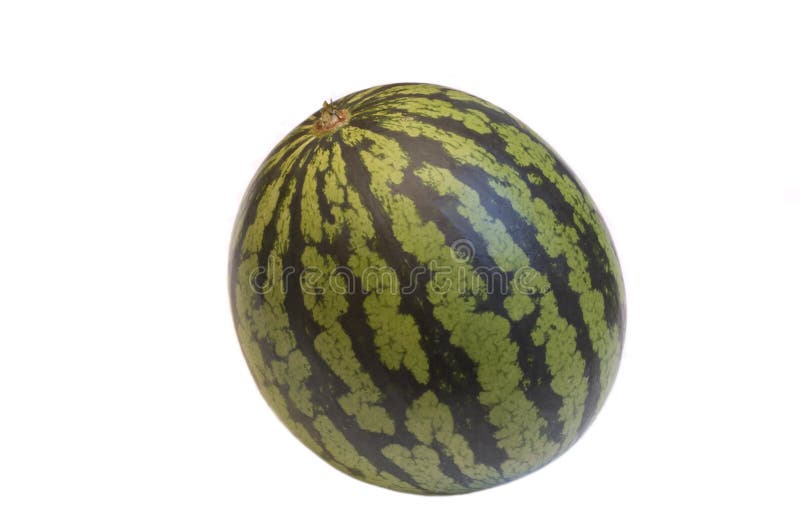 Watermelon isolated on white stock photography