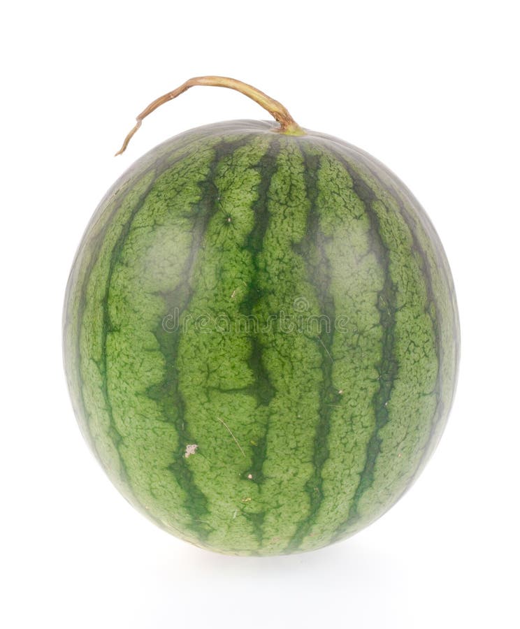 Dark green watermelon stock photo. Image of melon, close 9435970