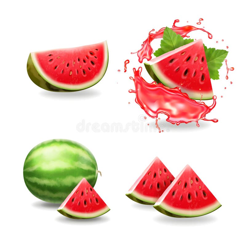 Watermelon realistic set, 3d ripe slice in watermelon juice splash vector