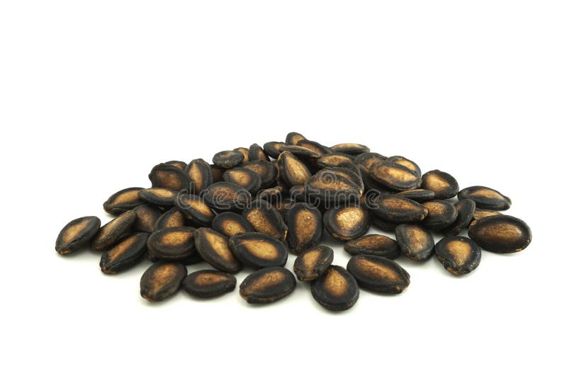 Watermelon seed stock image. Image of white, melon, seeds 103084997