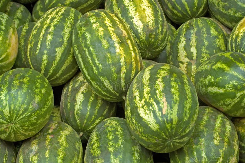 Watermelons