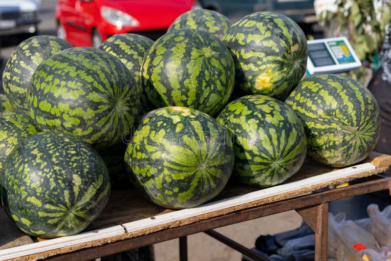 Watermelons at an Autumn Fair for Sale Stock Image Image of jumble