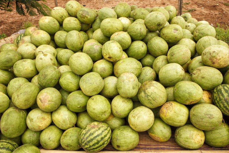 Watermelons stock image Watermelons stock image