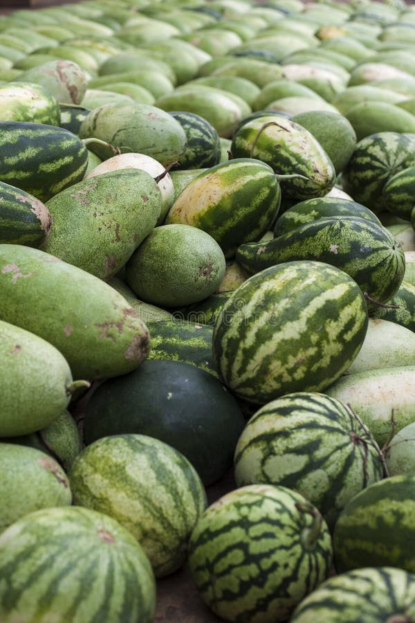 Watermelons for sale stock photo. Image of pacific, green 26309122