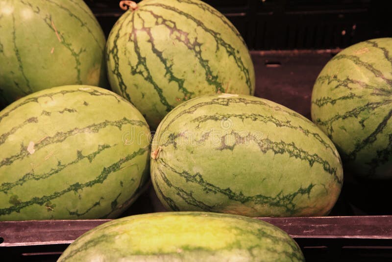 Watermelons on sale stock image. Image of nutrition, color 43427307