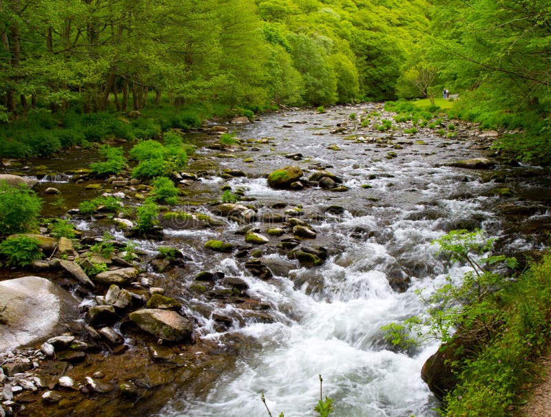 Watersmeet in Devon near Lynmouth