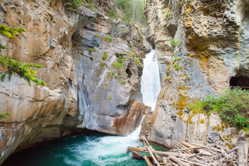 Waterval in het nationale park van de johnstoncanion banff stock fotografie Waterval in het nationale park van de johnstoncanion banff stock fotografie