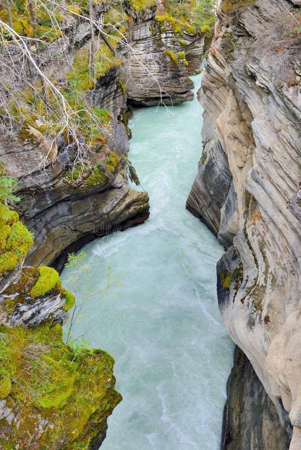 Waterval langs het Icefields-Brede rijweg met mooi aangelegd landschap in de Canadese Rotsachtige Bergen tussen Banff en Jaspis stock foto Waterval langs het Icefields-Brede rijweg met mooi aangelegd landschap in de Canadese Rotsachtige Bergen tussen Banff en Jaspis stock foto