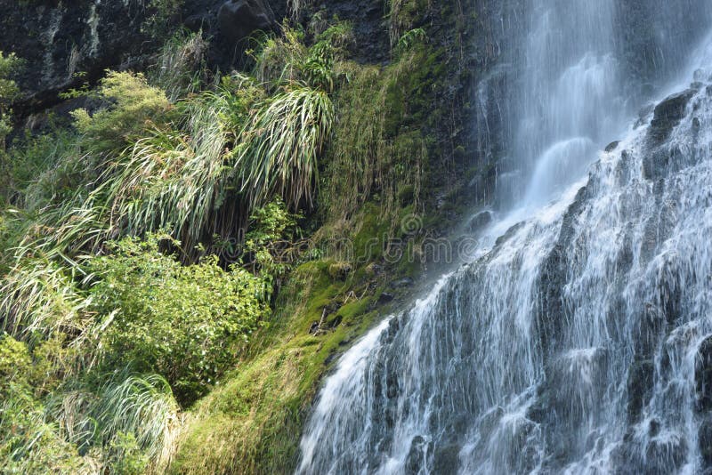 Waterval in Waitakere-Waaiers royalty-vrije stock afbeelding Waterval in Waitakere-Waaiers royalty-vrije stock afbeelding
