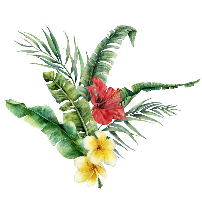Waterverf bloemen tropisch boeket met heldere bloemen Hand geschilderde kokosnoot en banaanbladeren, plumeria, hibiscus royalty-vrije illustratie Waterverf bloemen tropisch boeket met heldere bloemen Hand geschilderde kokosnoot en banaanbladeren, plumeria, hibiscus royalty-vrije illustratie