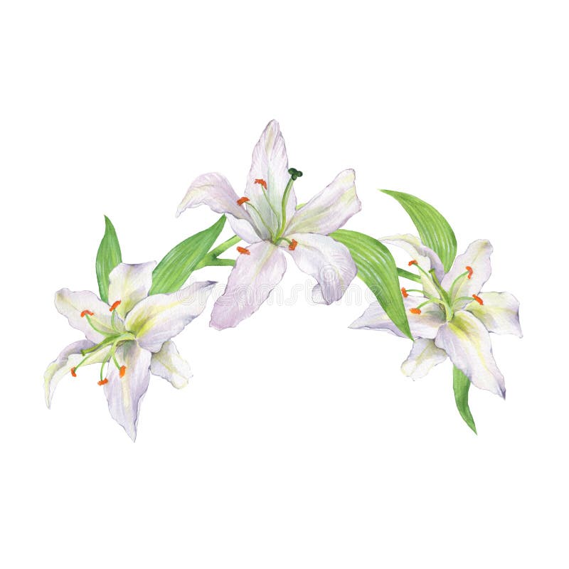 Waterverf bloementak met lelies 1 royalty-vrije illustratie Waterverf bloementak met lelies 1 royalty-vrije illustratie